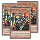 Dinowrestler Capaptera
