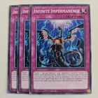 Infinite Impermanence