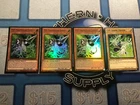 Necro Gardna