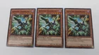 Raidraptor - Pain Lanius