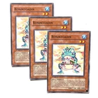 Ronintoadin
