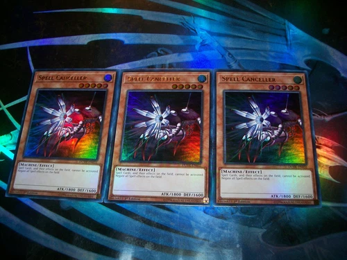 Spell Canceller