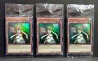 Lumina, Lightsworn Summoner
