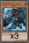 Nazuki the Vaylantz Ninja