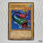 7 Colored Fish