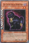 A Cat of Ill Omen