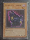 A Cat of Ill Omen