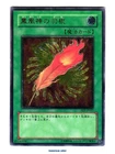 A Feather of the Phoenix