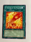 A Feather of the Phoenix