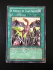 A Wingbeat of Giant Dragon
