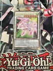 Debris Dragon