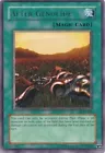 After Genocide