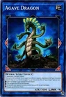 Agave Dragon