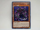 Alghoul Mazera