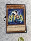 Nekroz Cycle