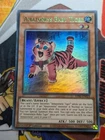Amazoness Baby Tiger