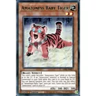 Amazoness Baby Tiger