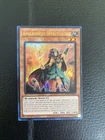 Amazoness Spiritualist
