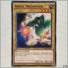 Angel Trumpeter