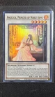 Angelica, Princess of Noble Arms