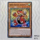Hardened Armed Dragon
