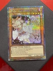Ash Blossom & Joyous Spring