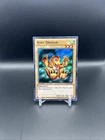 Baby Dragon