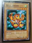 Baby Dragon