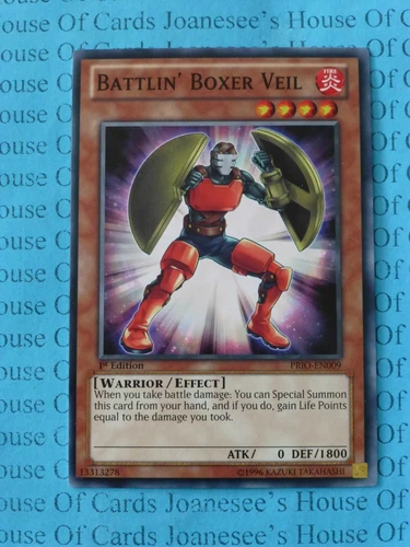 Battlin' Boxer Veil