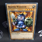 Beaver Warrior