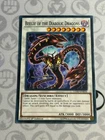 Beelze of the Diabolic Dragons