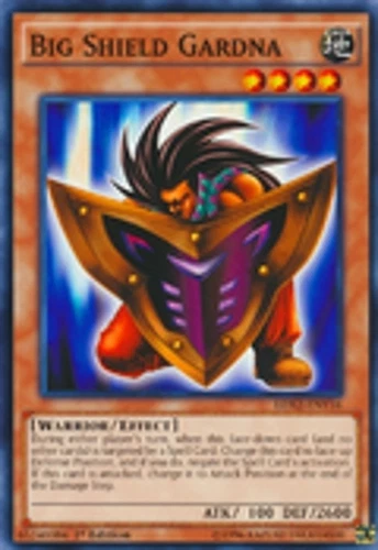 Big Shield Gardna