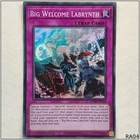Big Welcome Labrynth