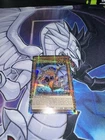 Black Dragon Collapserpent