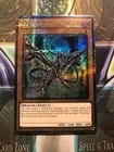 Coral Dragon