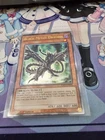Black Rose Moonlight Dragon