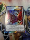 Black Rose Moonlight Dragon