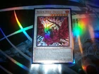 Black Rose Dragon