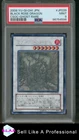 Black Rose Dragon