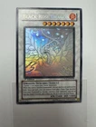 Black Rose Dragon