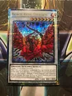 Black Rose Moonlight Dragon