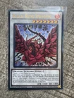 Black Rose Dragon