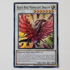 Black Rose Moonlight Dragon