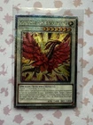 Black Rose Moonlight Dragon