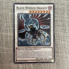 Black-Winged Dragon