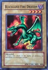 Blackland Fire Dragon
