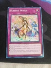 Blessed Winds