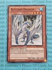 Blizzard Dragon