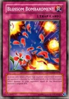 Blossom Bombardment