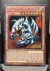 Blue-Eyes Toon Dragon